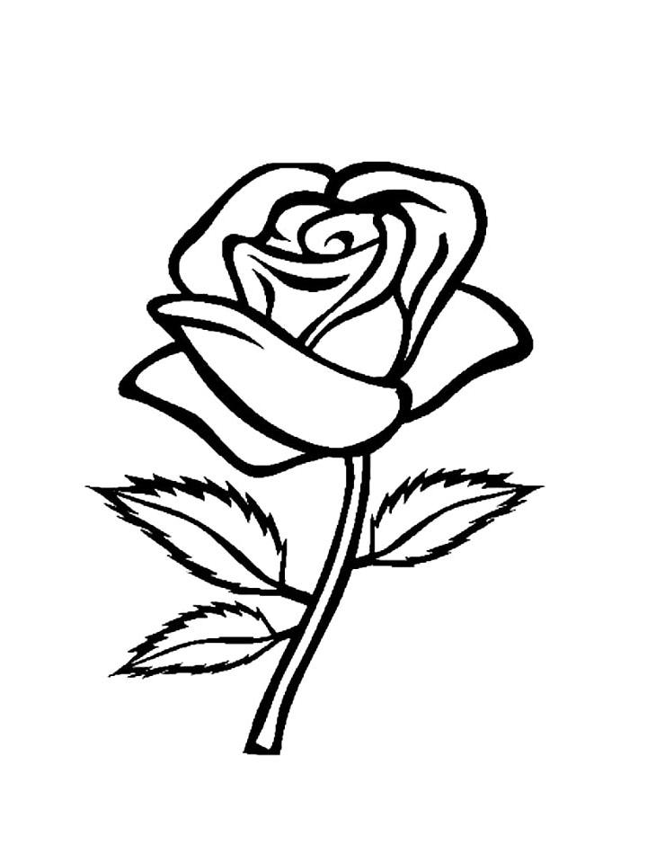 раскраски для детей роза цветок 7