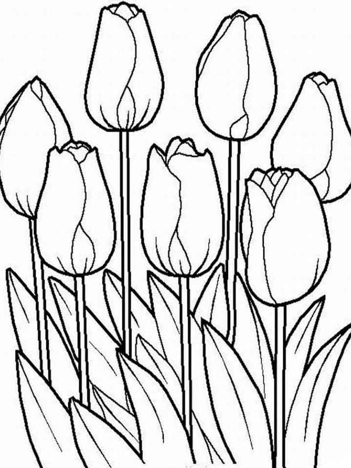 раскраска букет тюльпанов на 8 марта 4