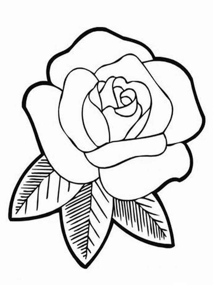 цветок роза раскраска для детей распечатать 9