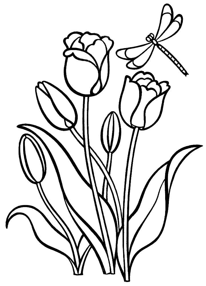 цветы тюльпаны картинки раскраски 3