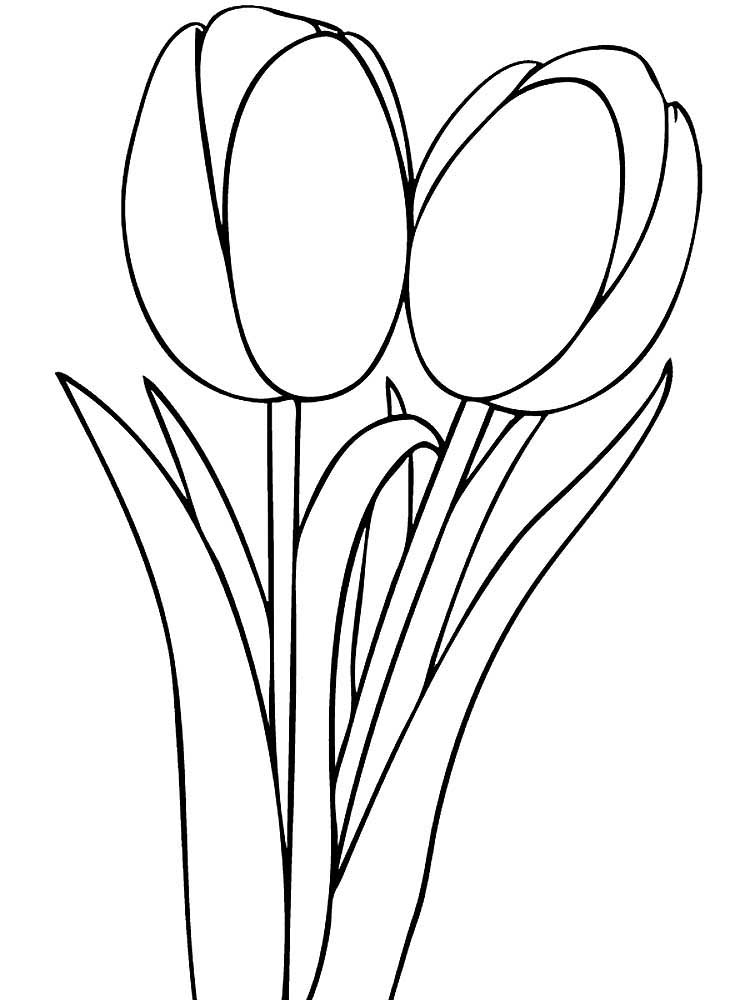 раскраска букет тюльпанов в вазе для детей 7