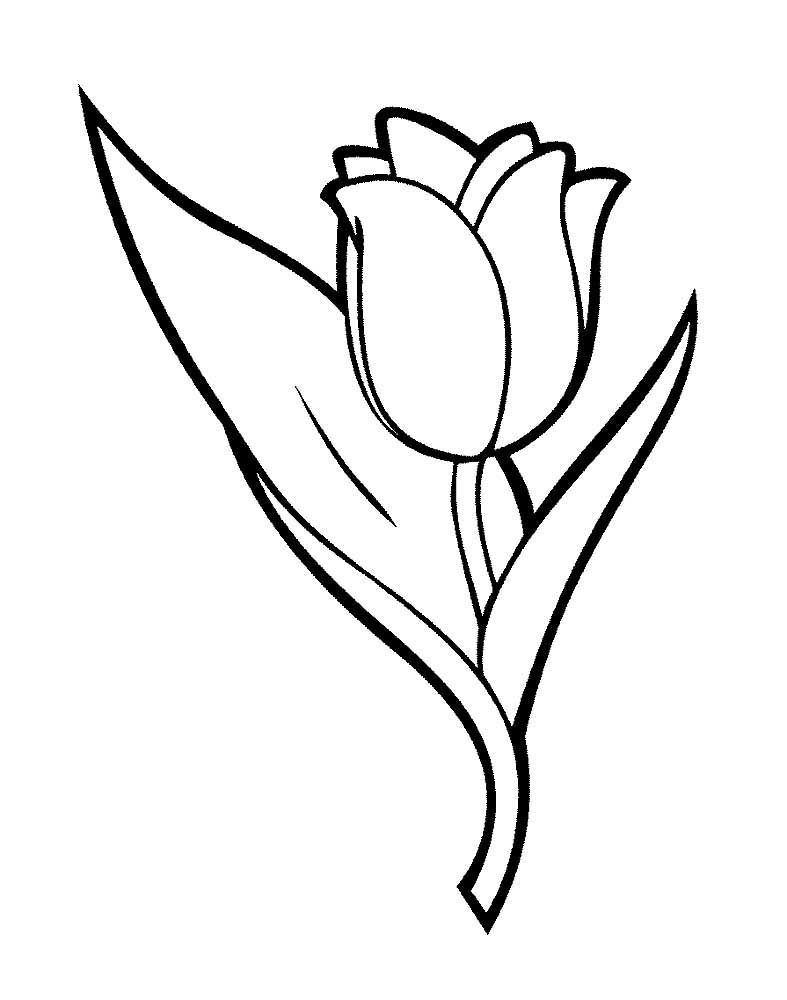 тюльпаны в вазе раскраска на 8 марта