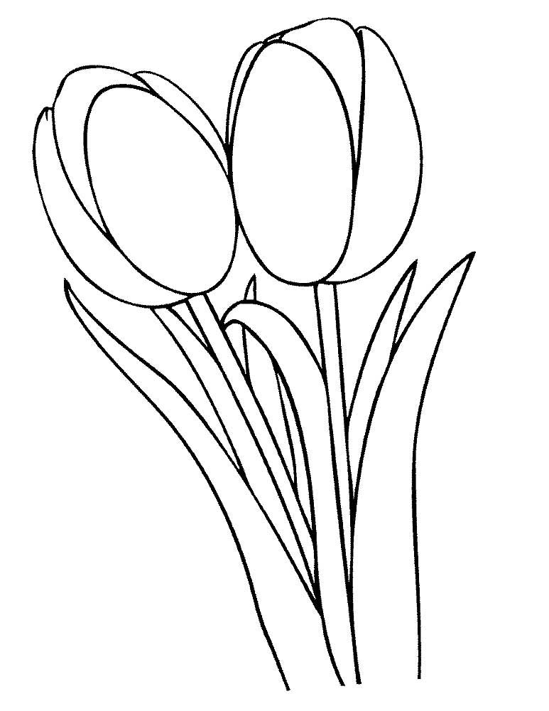 тюльпаны в вазе раскраска на 8 марта 2