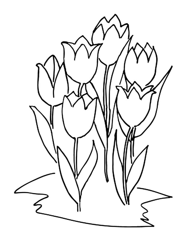тюльпаны в вазе раскраска на 8 марта 7