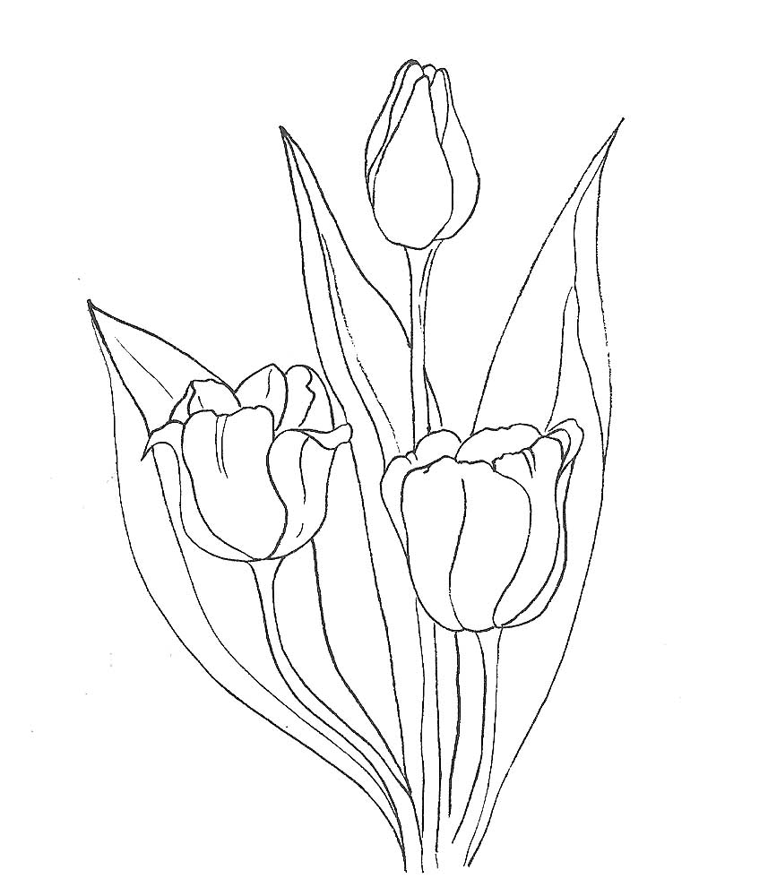 тюльпаны в вазе раскраска для детей распечатать 7