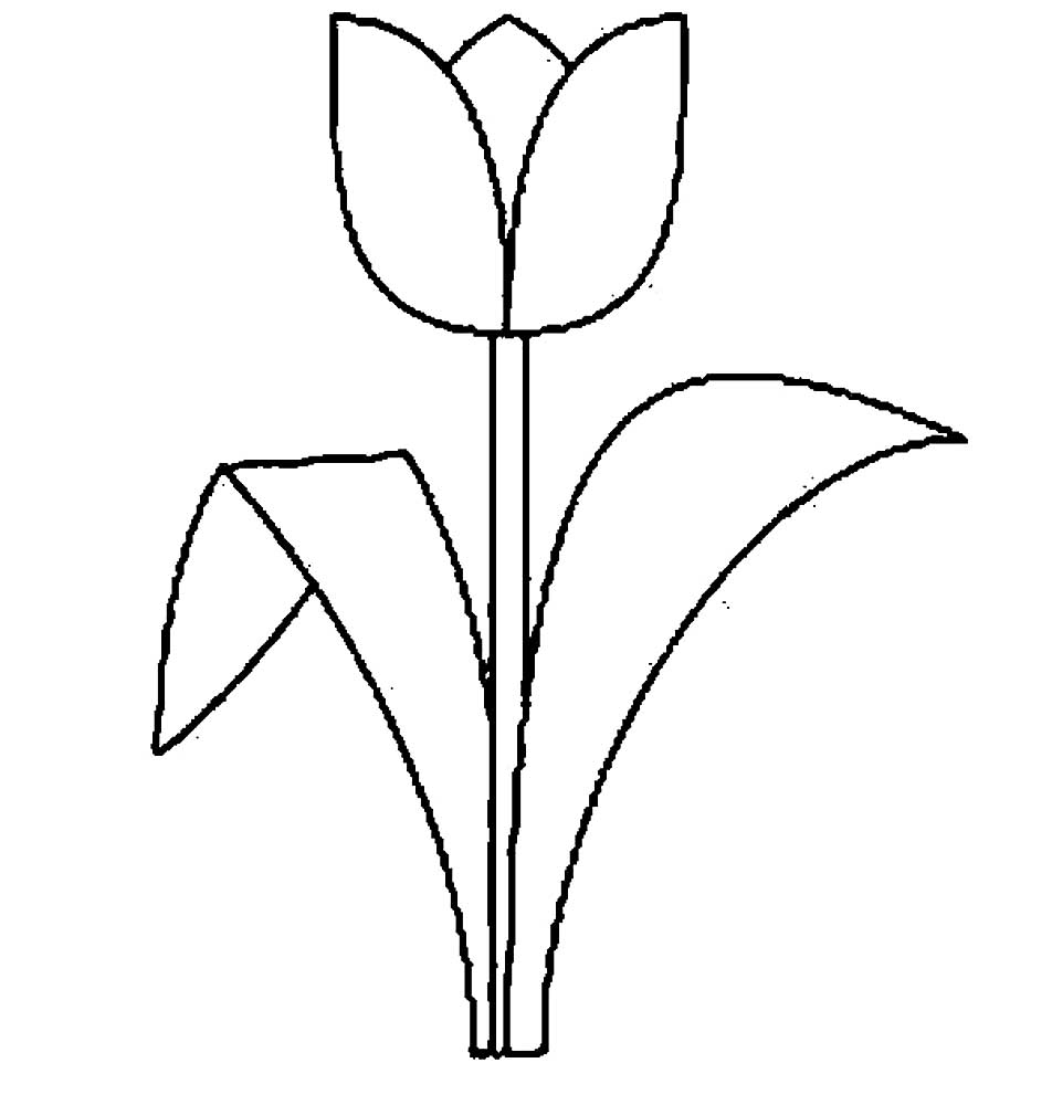 тюльпаны в вазе раскраска для детей в саду