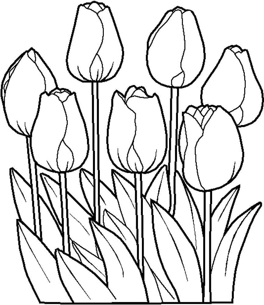 тюльпаны в вазе раскраска для детей в саду 2