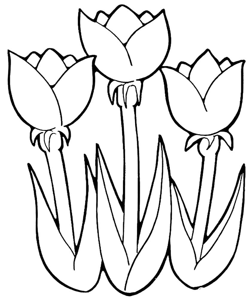 раскраска тюльпаны в вазе для детей 9