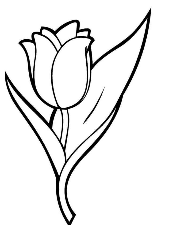раскраска тюльпаны в вазе для детей 2