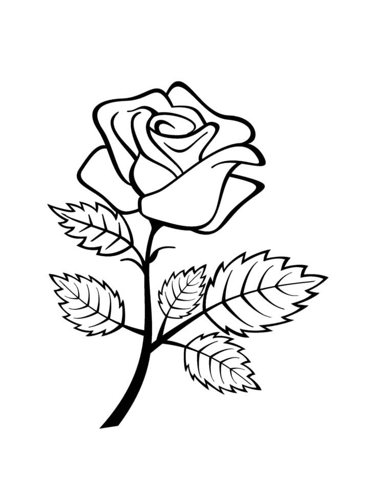раскраски для детей роза цветок 6