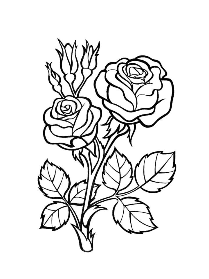 раскраски для детей роза цветок 3