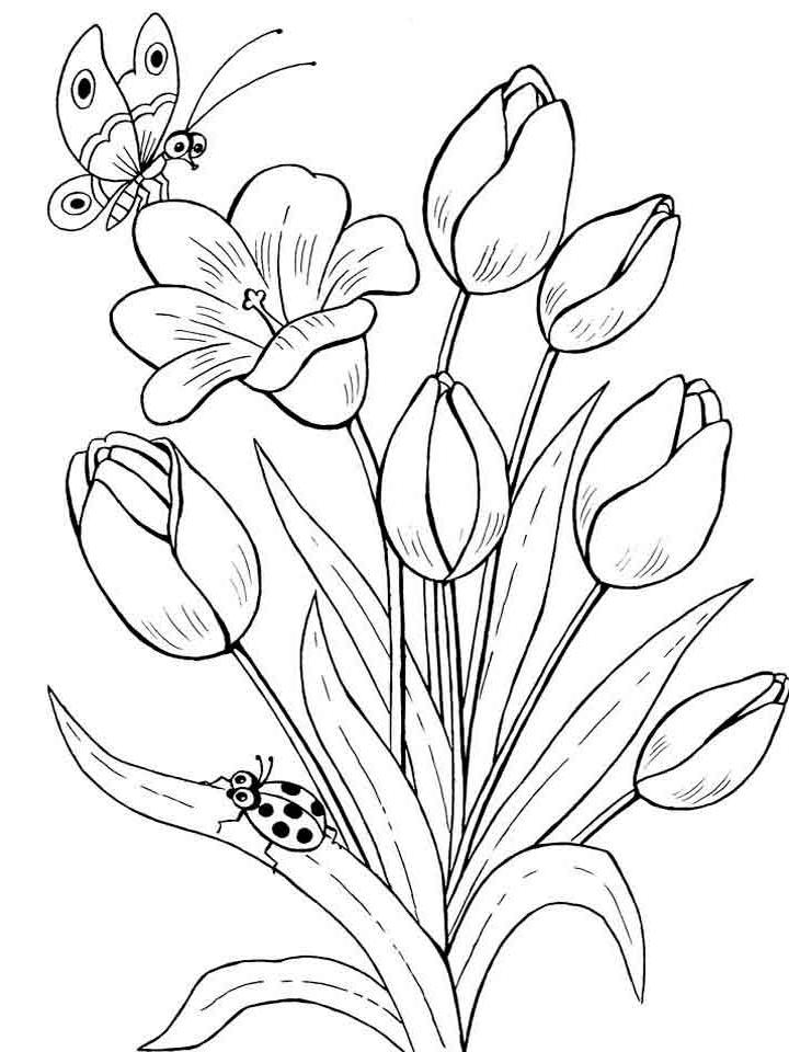 раскраска букет тюльпанов на 8 марта 2