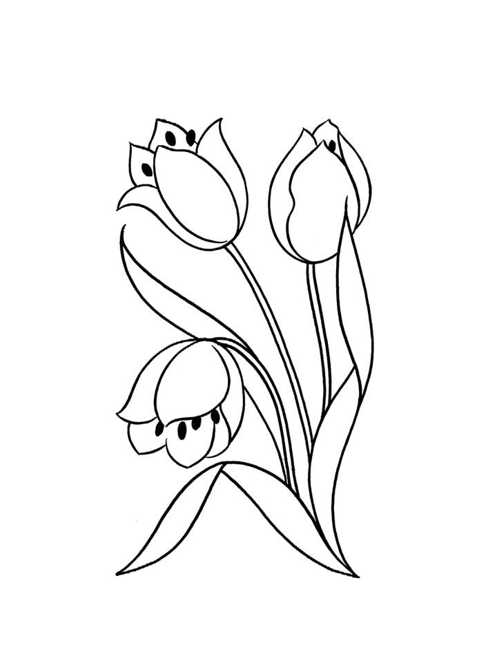 раскраска тюльпаны для детей 4-5 лет 10