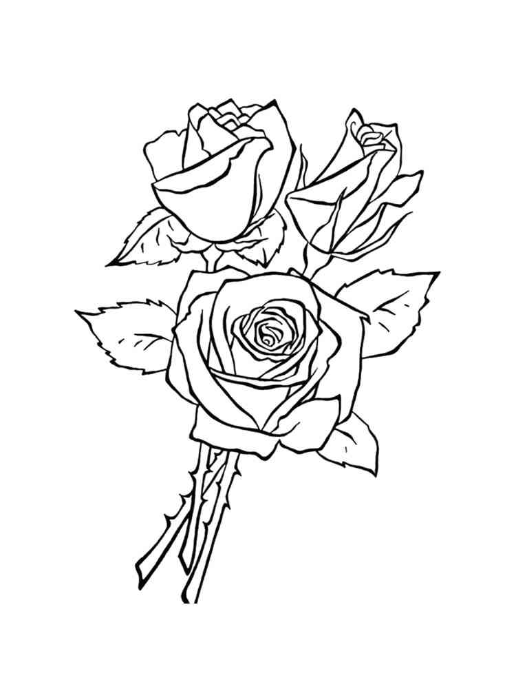 роза раскраска для детей 9