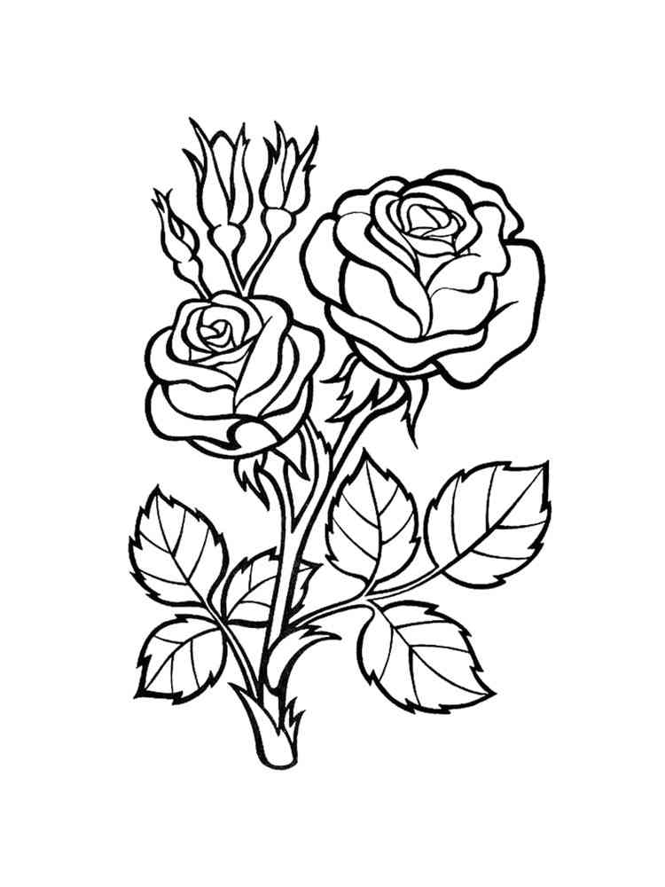 роза раскраска для детей 10