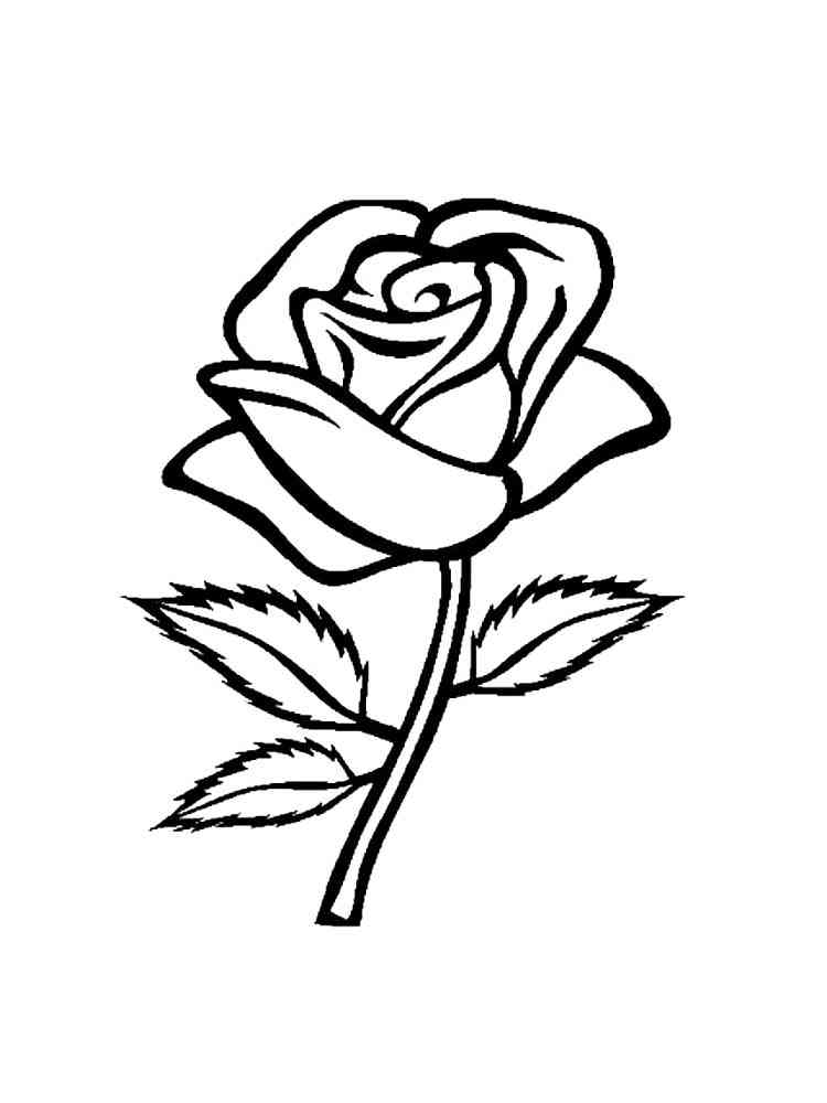 роза раскраска для детей распечатать 4