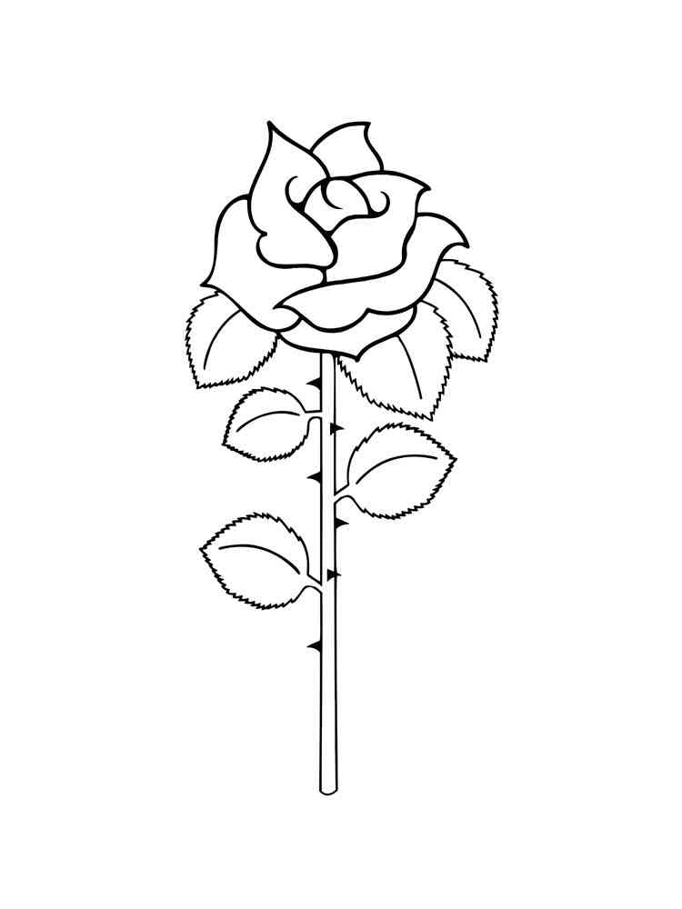 роза раскраска для детей распечатать 6