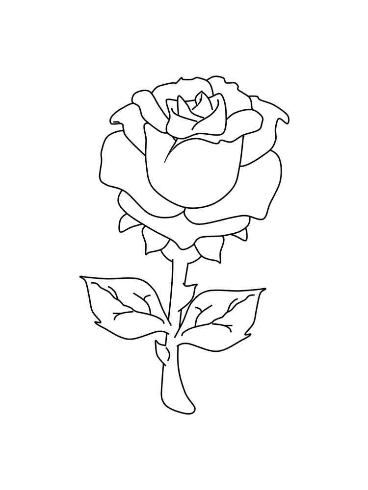 роза раскраска для детей