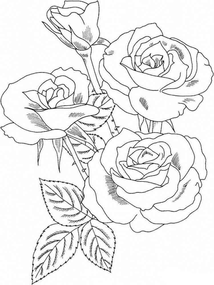 роза раскраска для детей распечатать 8
