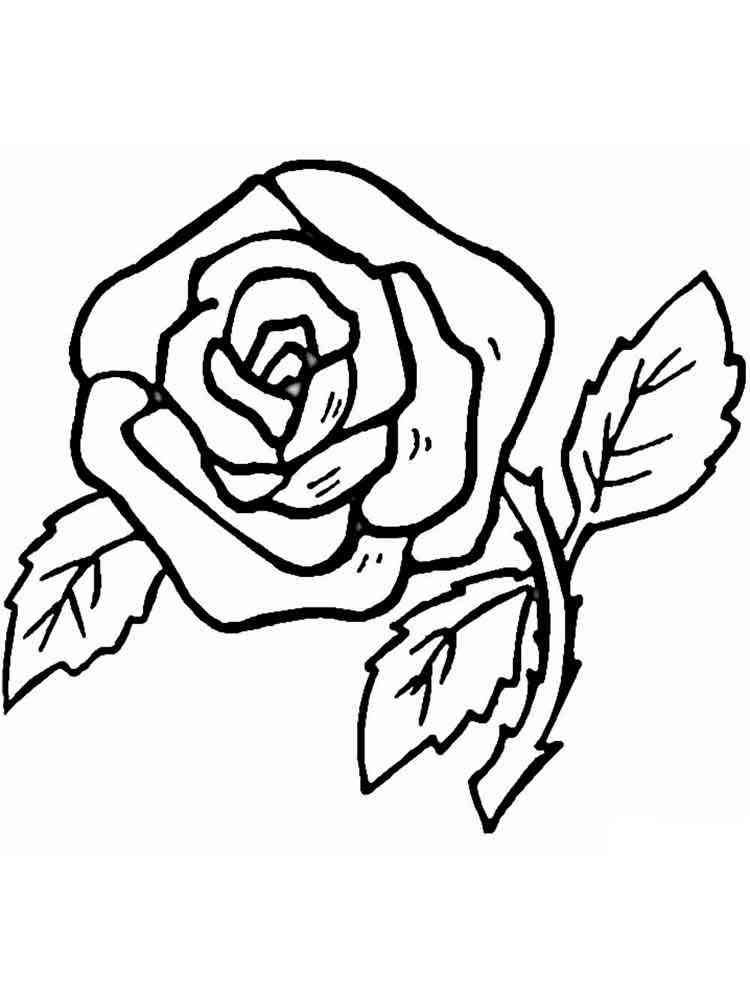 розы раскраска для детей распечатать 8