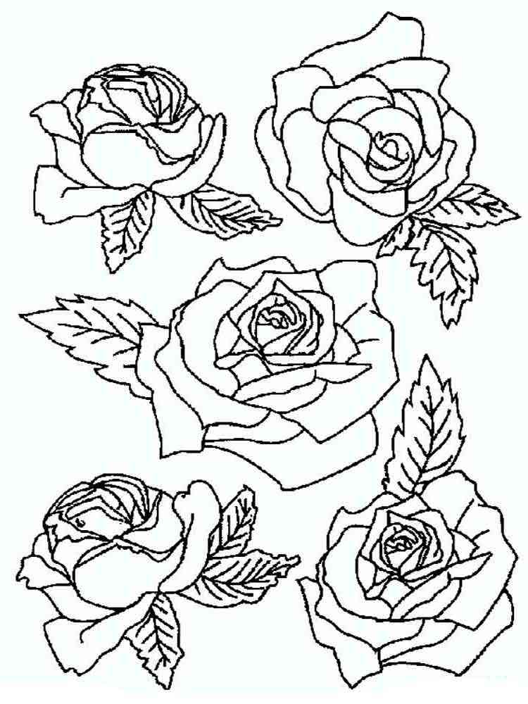 раскраски розы распечатать бесплатно 2