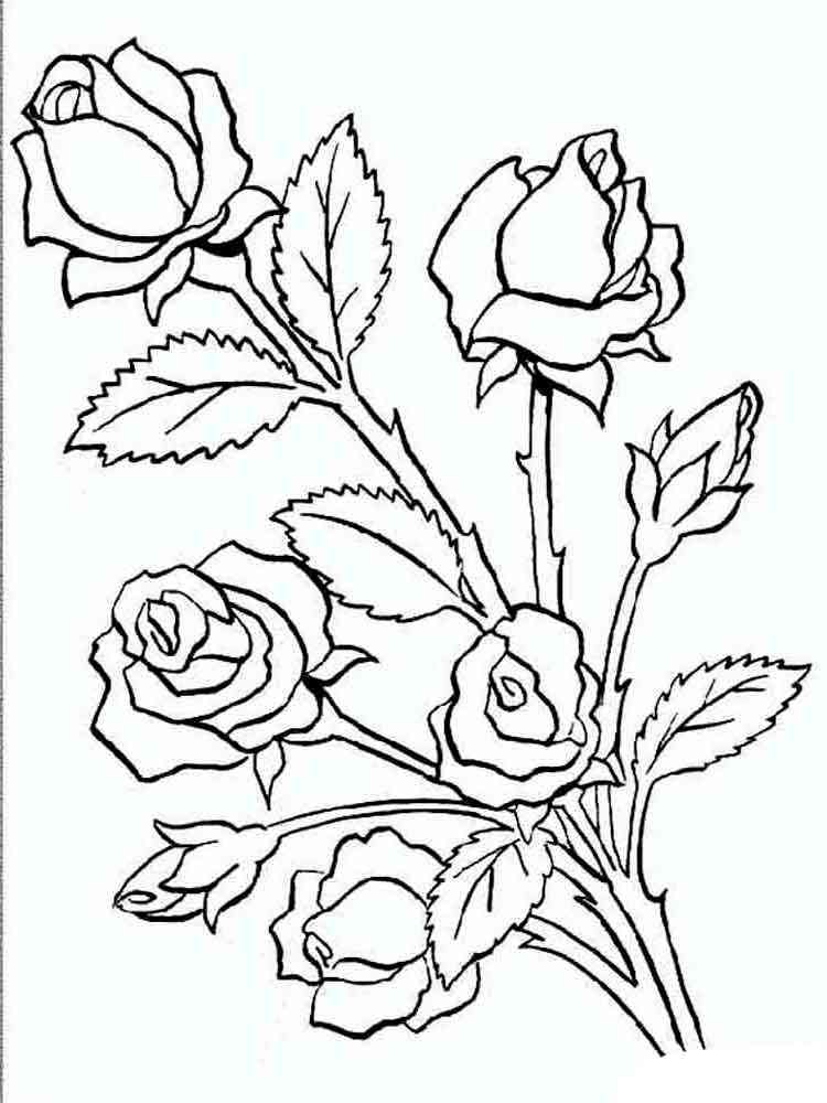 розы раскраска для детей распечатать 6