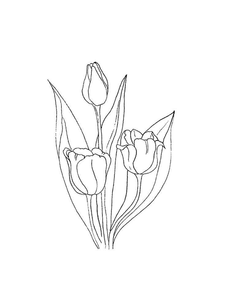 раскраска тюльпаны на 8 марта для детей