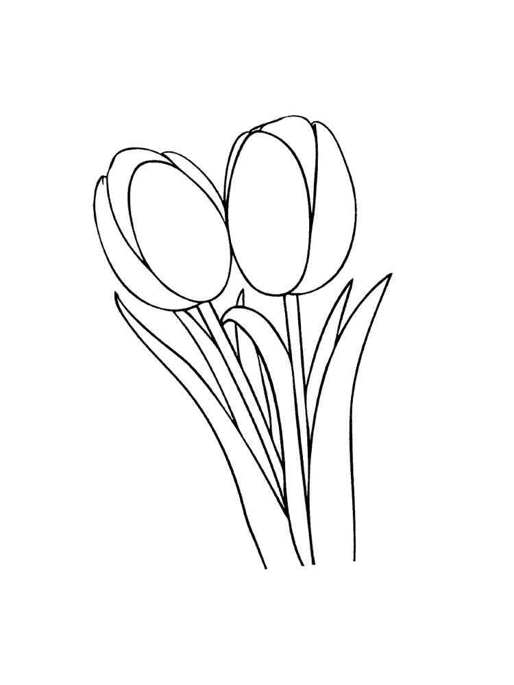раскраска тюльпаны на 8 марта для детей 2
