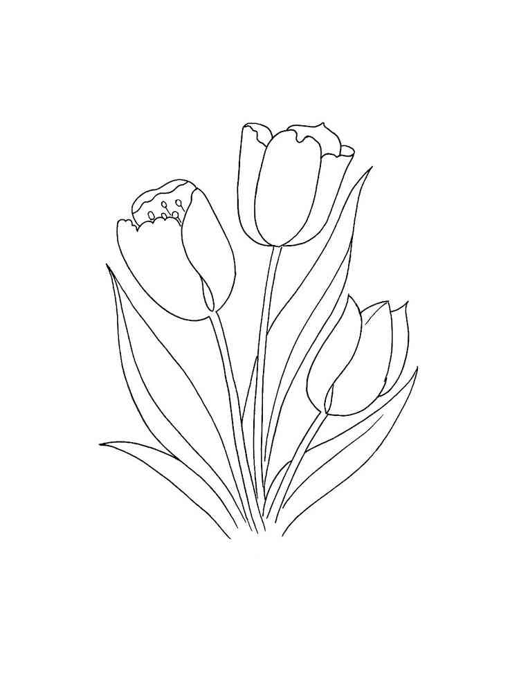 раскраска тюльпаны на 8 марта для детей 3