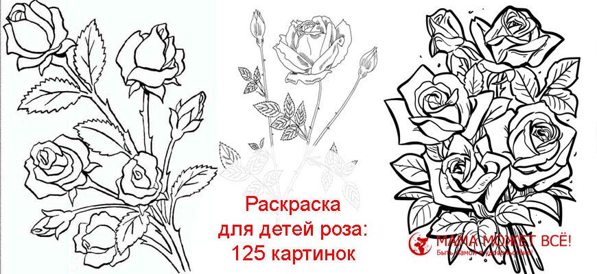 Раскраска для детей роза картинки для распечатки