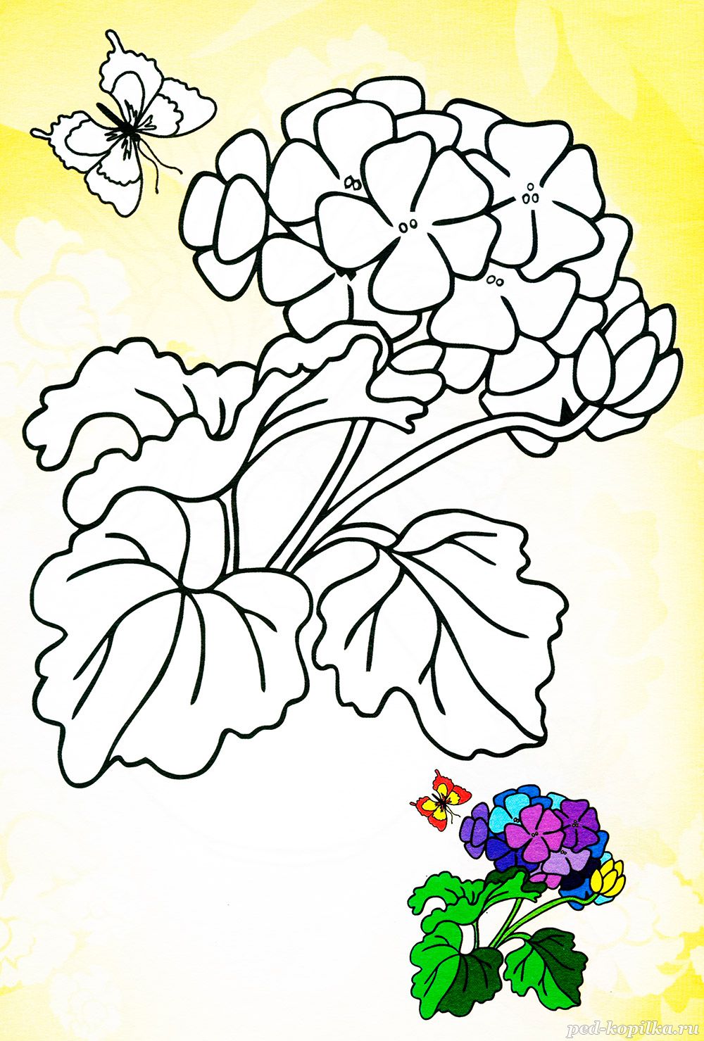 раскраска цветы распечатать на открытку 8