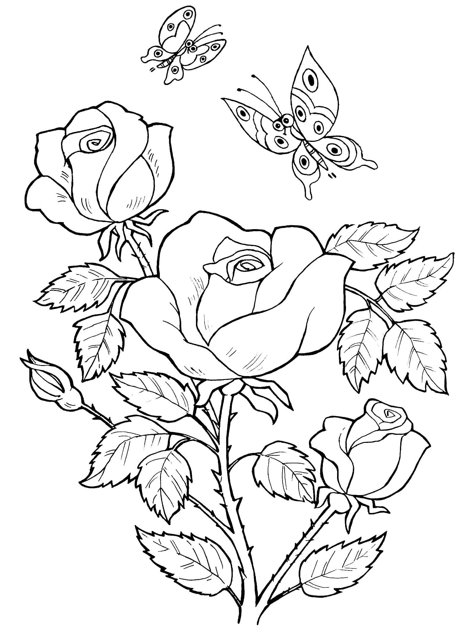 раскраска розы распечатать бесплатно в хорошем качестве 5