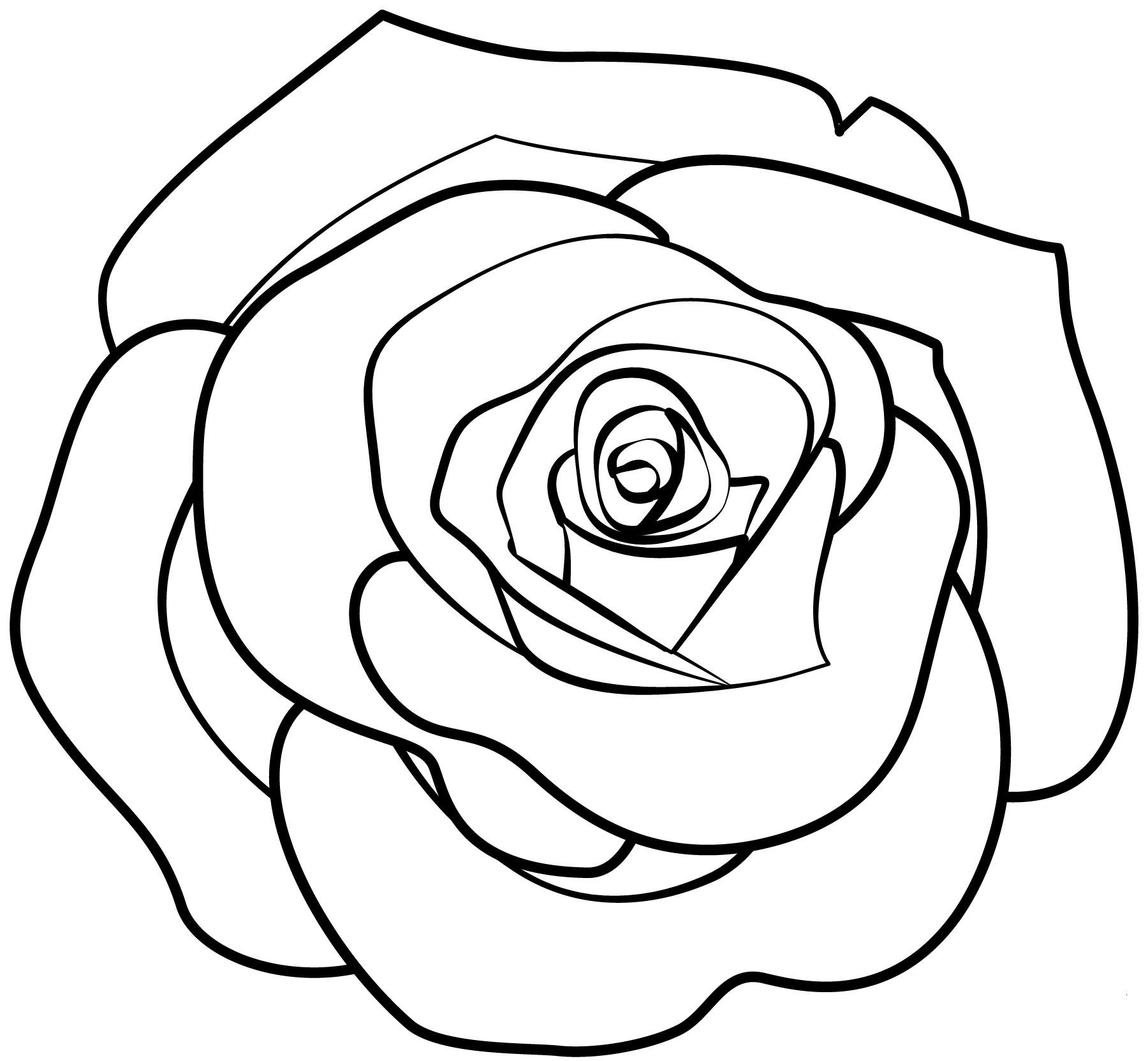 раскраска розы распечатать бесплатно в хорошем качестве 8