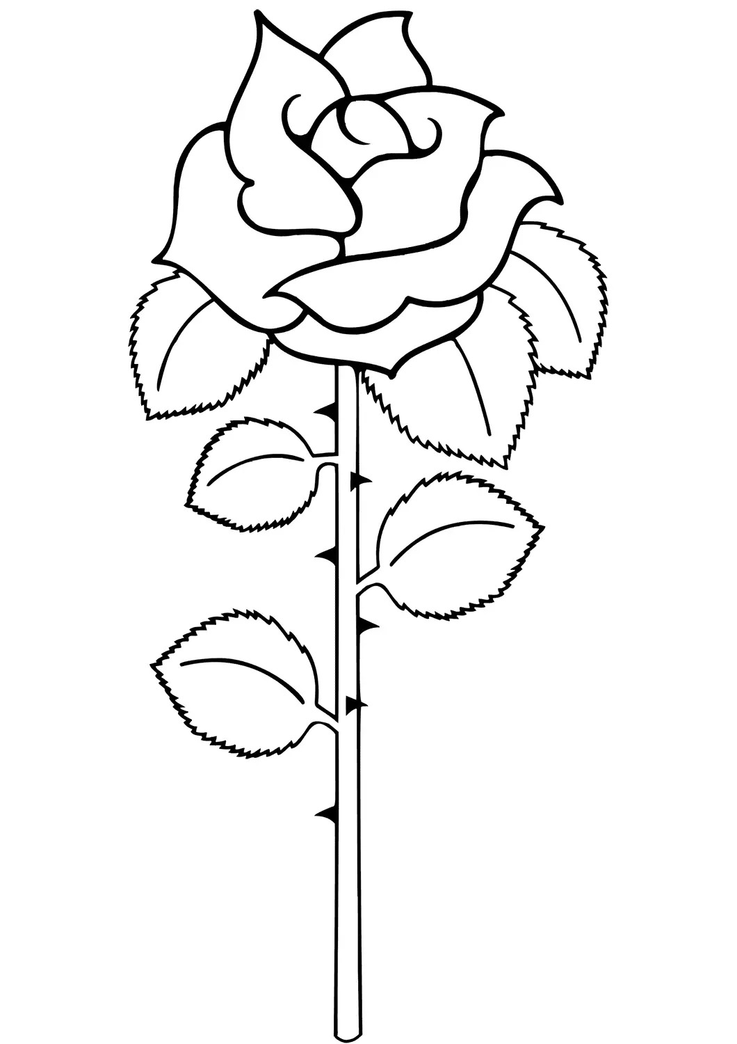 раскраска розы букет