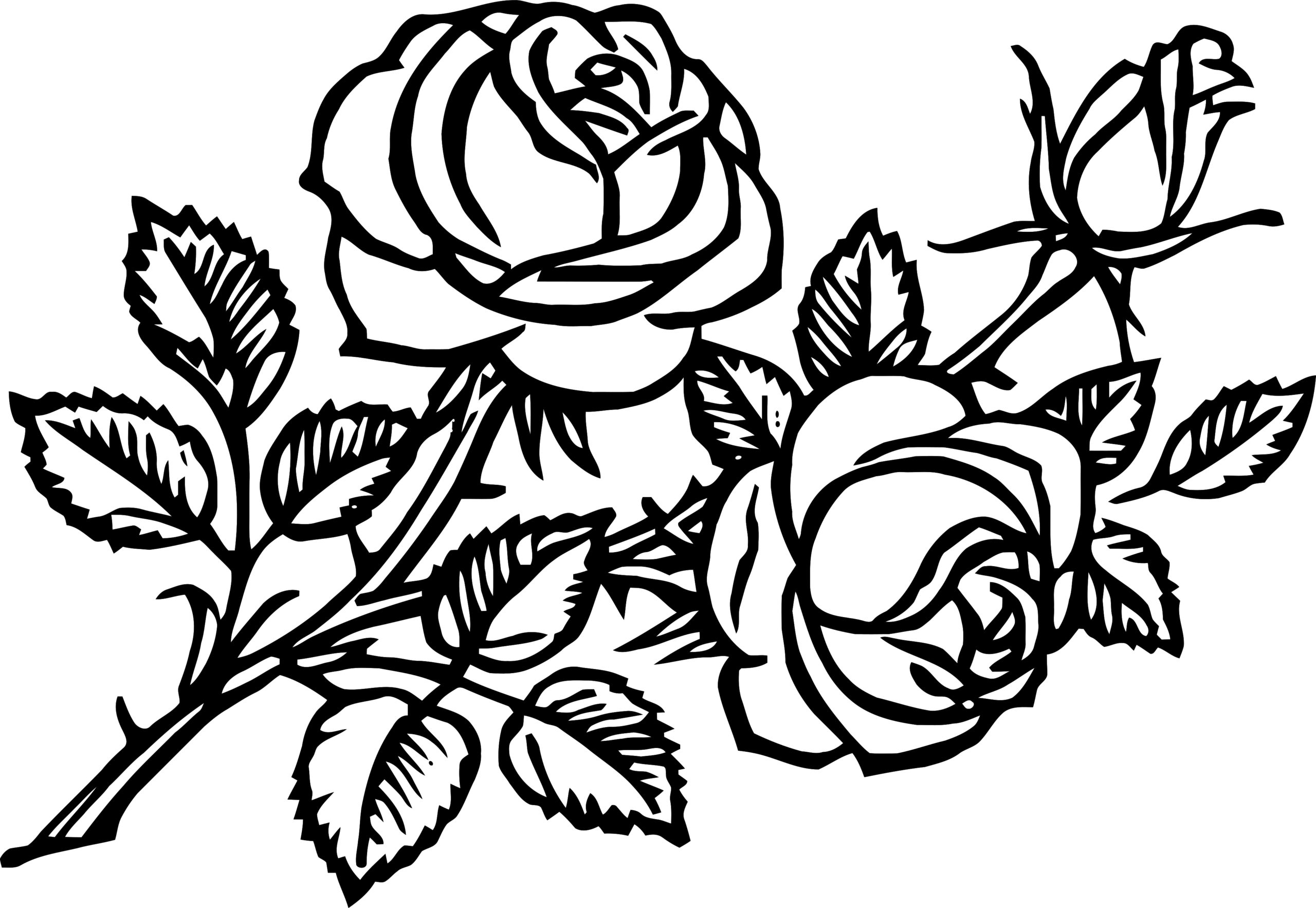 раскраска розы букет 2