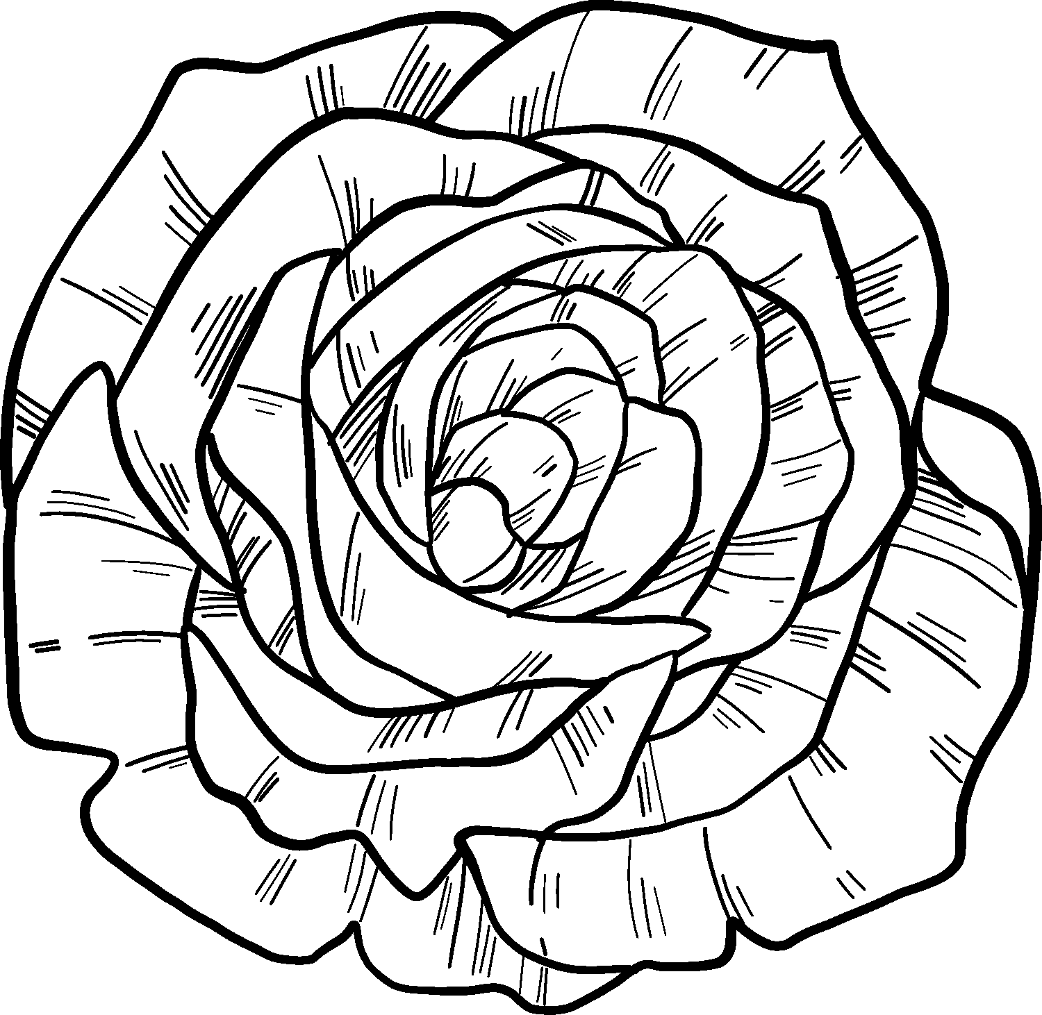 раскраски маленькие розы 10