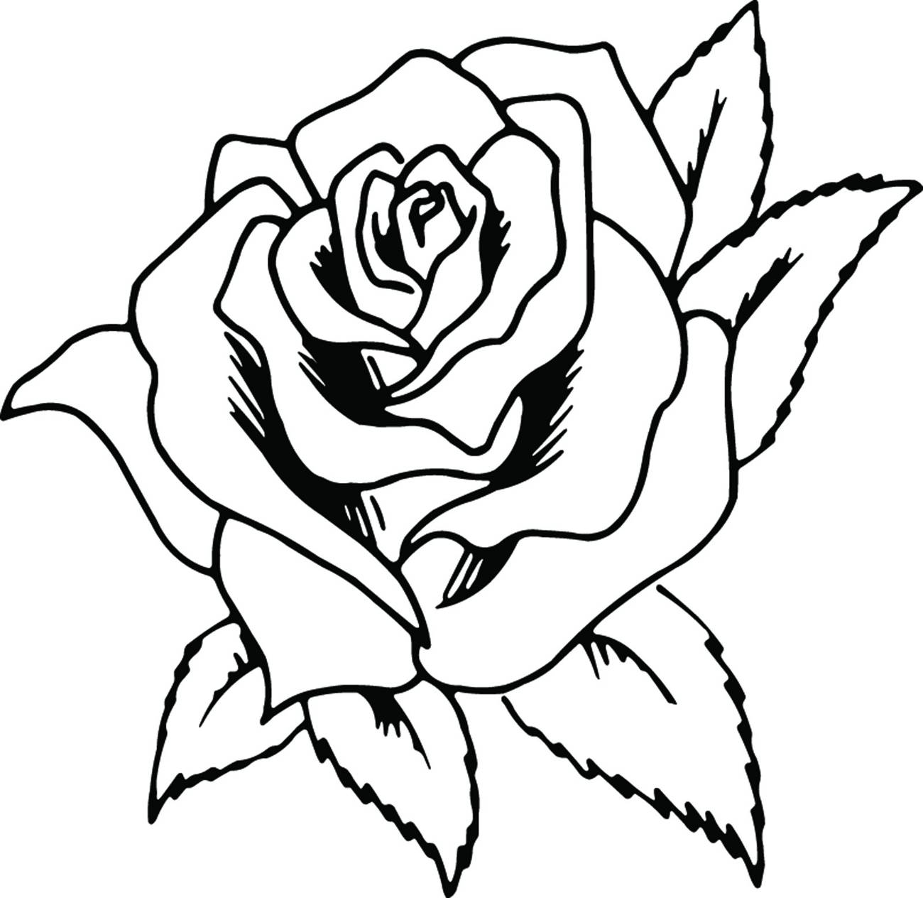раскраска для девочек розы