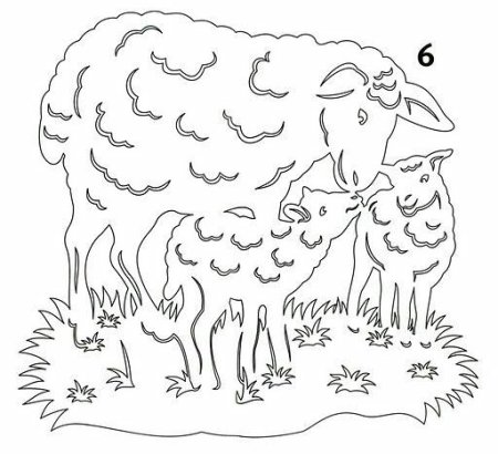 овечка и барашек шаблон для рисования 3