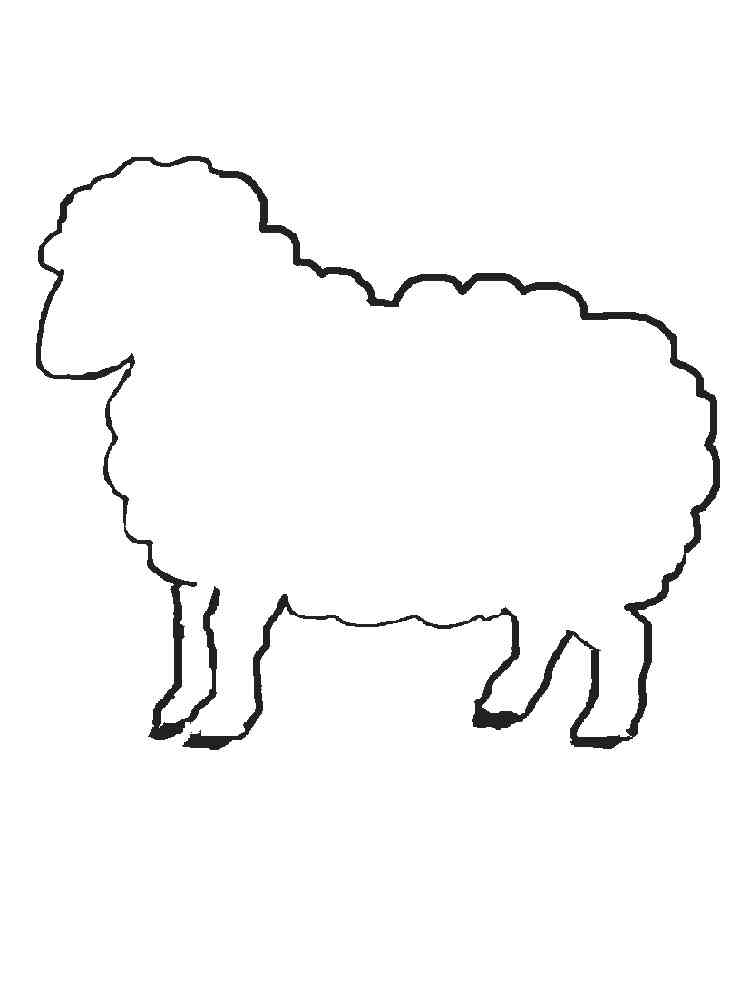 овечка и барашек шаблон для рисования 10