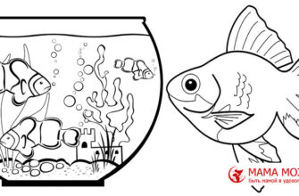 раскраска аквариумные рыбки для детей картинки