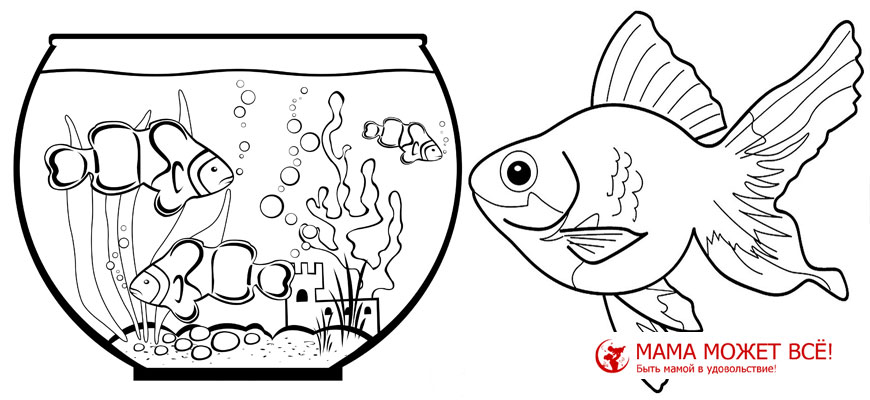 раскраска аквариумные рыбки для детей картинки