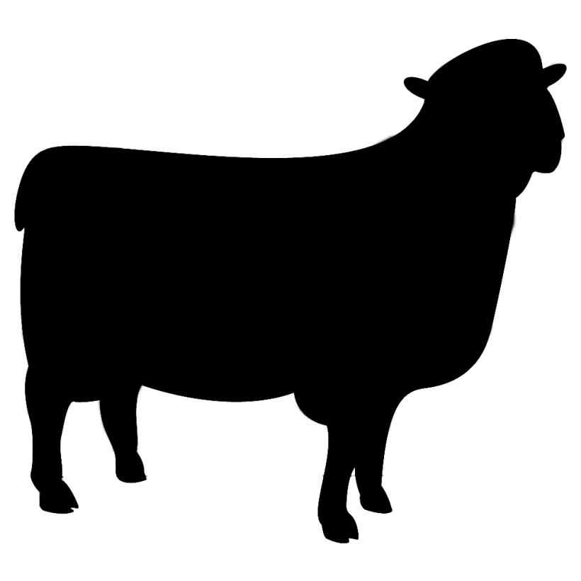 шаблон овечки для аппликации из ваты 7