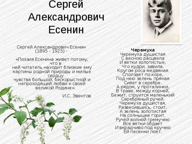 стихи Есенина для детей 2 класса