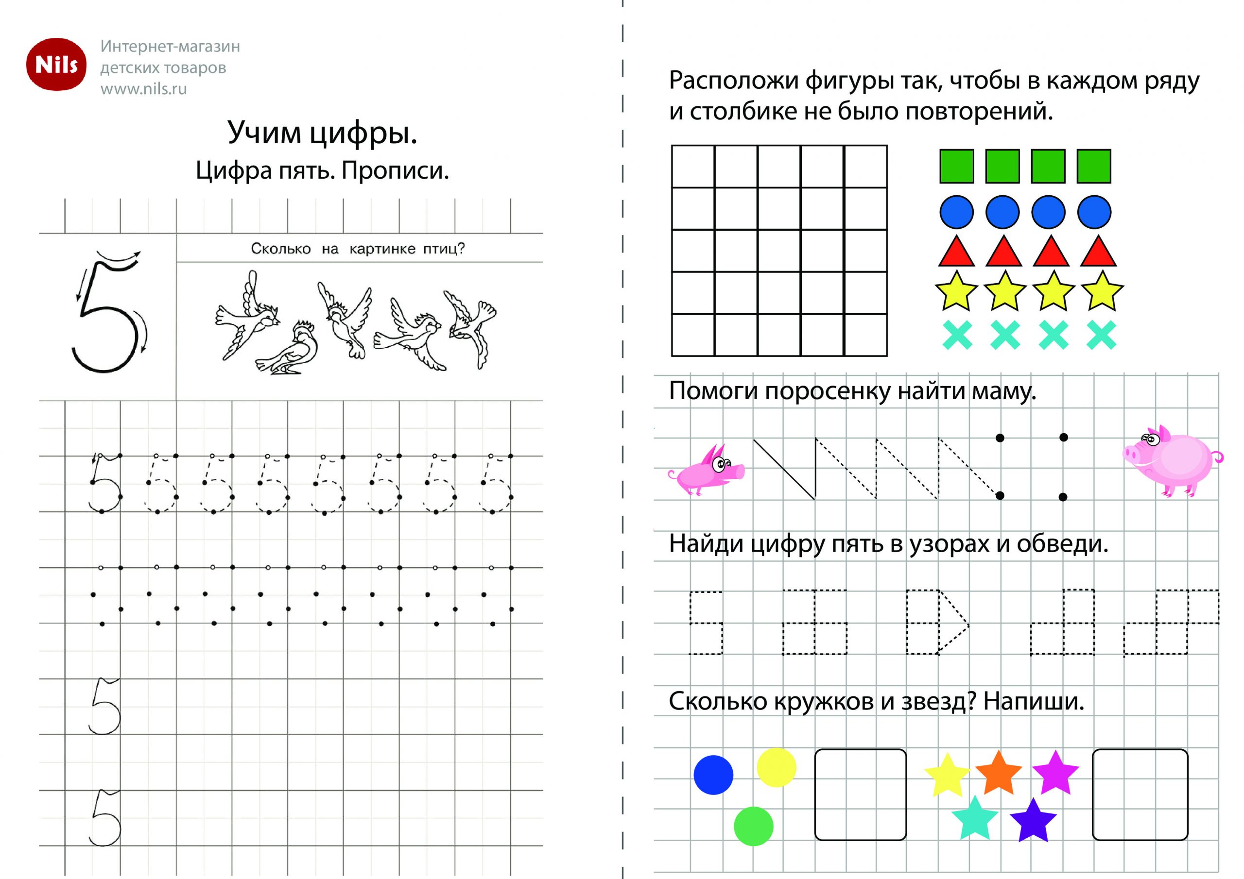 цифра 5 пропись для дошкольников с заданиями 6