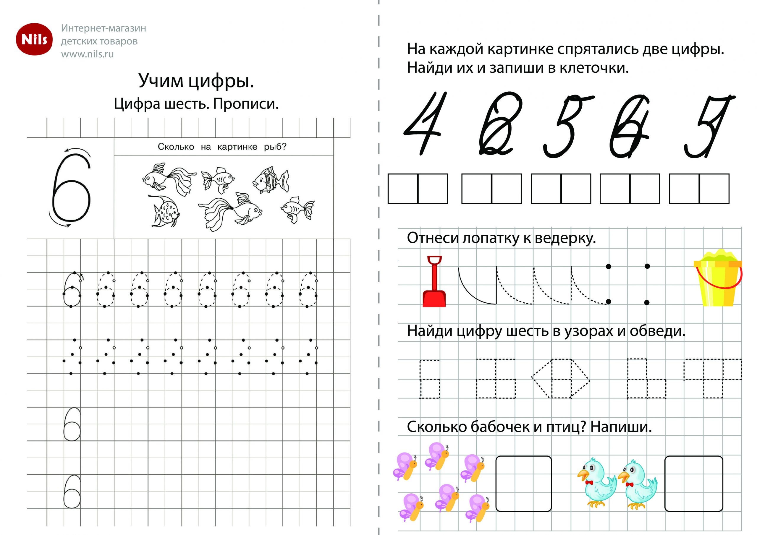 цифра 6 для дошкольников задания прописи 3