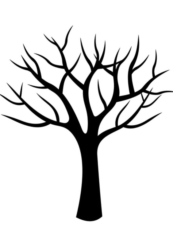 шаблон дерева без листьев для аппликации в подготовительной группе 3