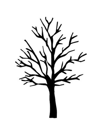 контур дерева без листьев шаблоны для аппликации 3