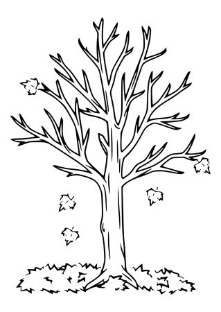 контур дерева без листьев шаблоны для аппликации 6