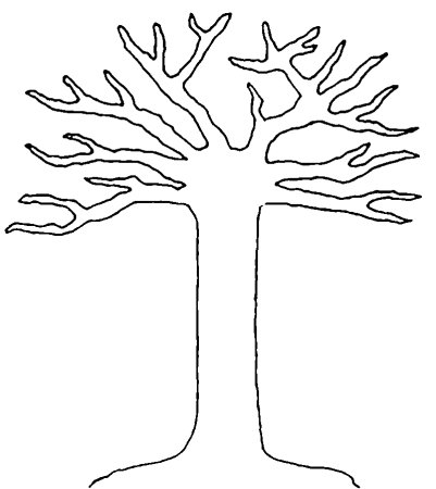 шаблон дерева без листьев для аппликации в детском саду 4
