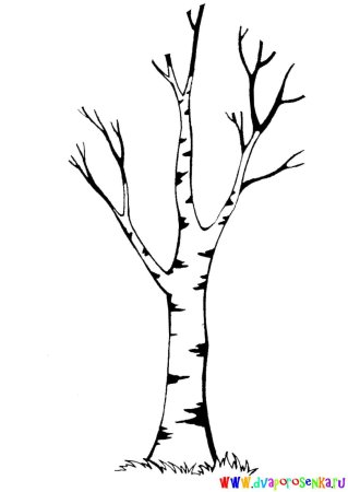 шаблон дерева без листьев для аппликации в детском саду 6